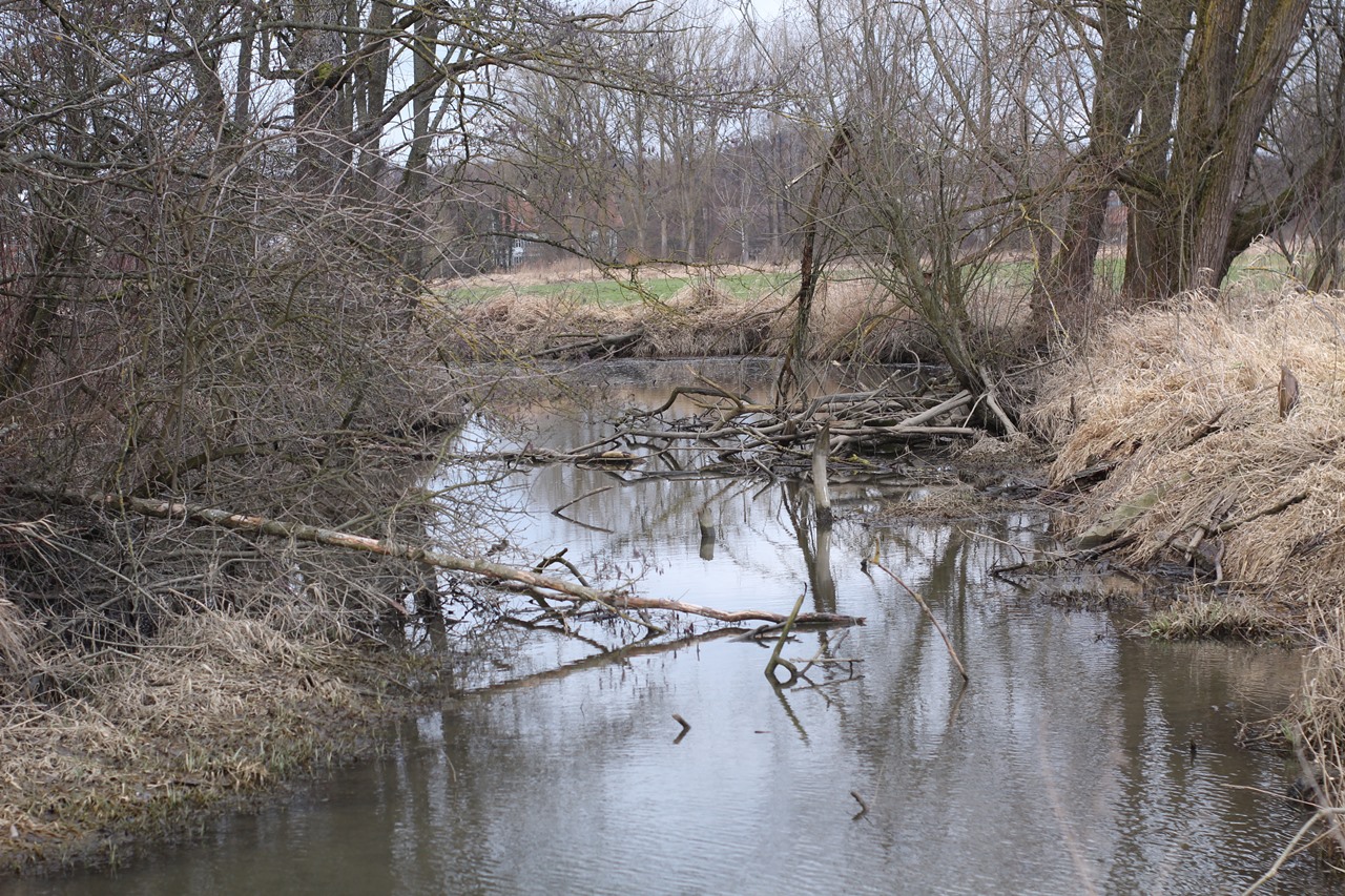 winterspaziergang-an-der-schmutter