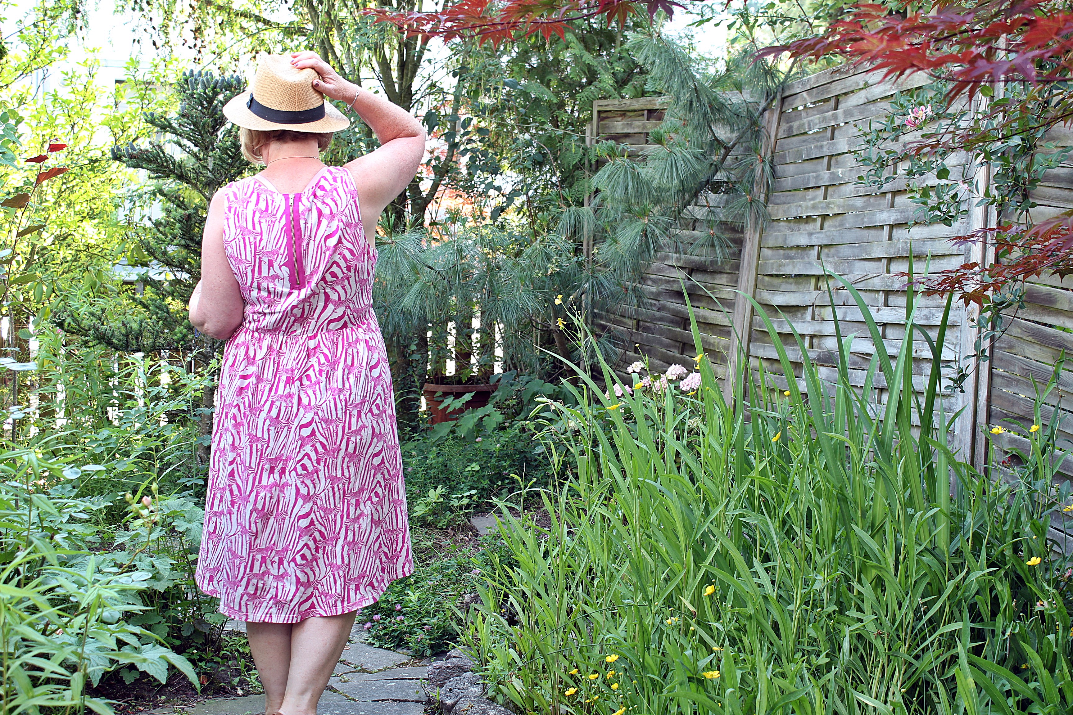 zebras-in-rosa-bines-60plus-stil