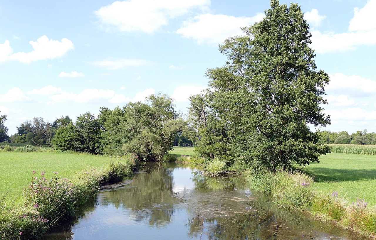 Blick-auf-die-Schmutter