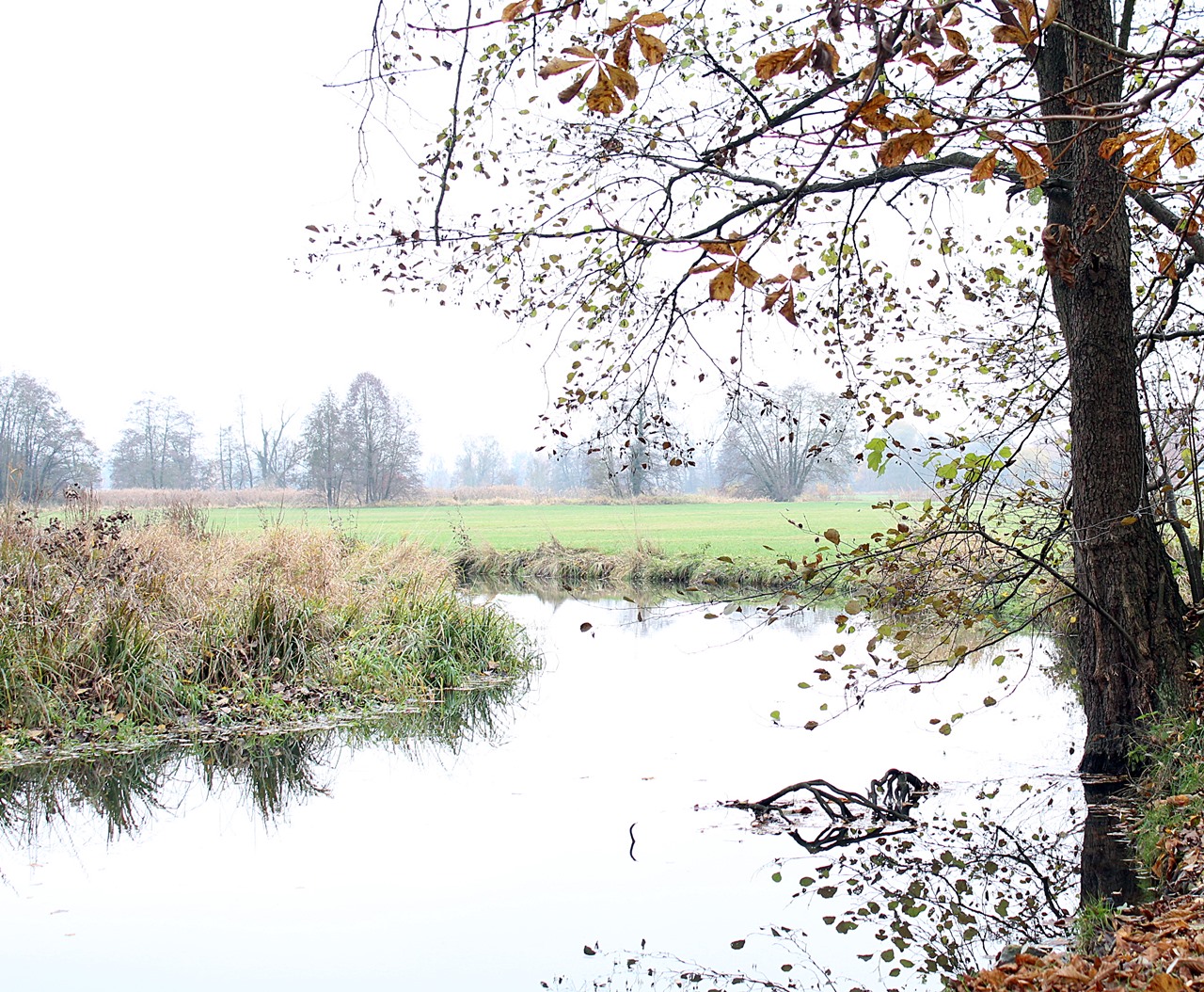 herbst-an-der-schmutter