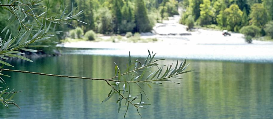 Hot, hot summer – ein Sommertag am Plansee – Blogparade